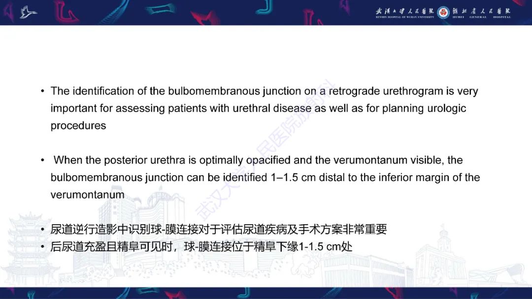 影像PPT - 【PPT】尿道造影疾病诊断-9