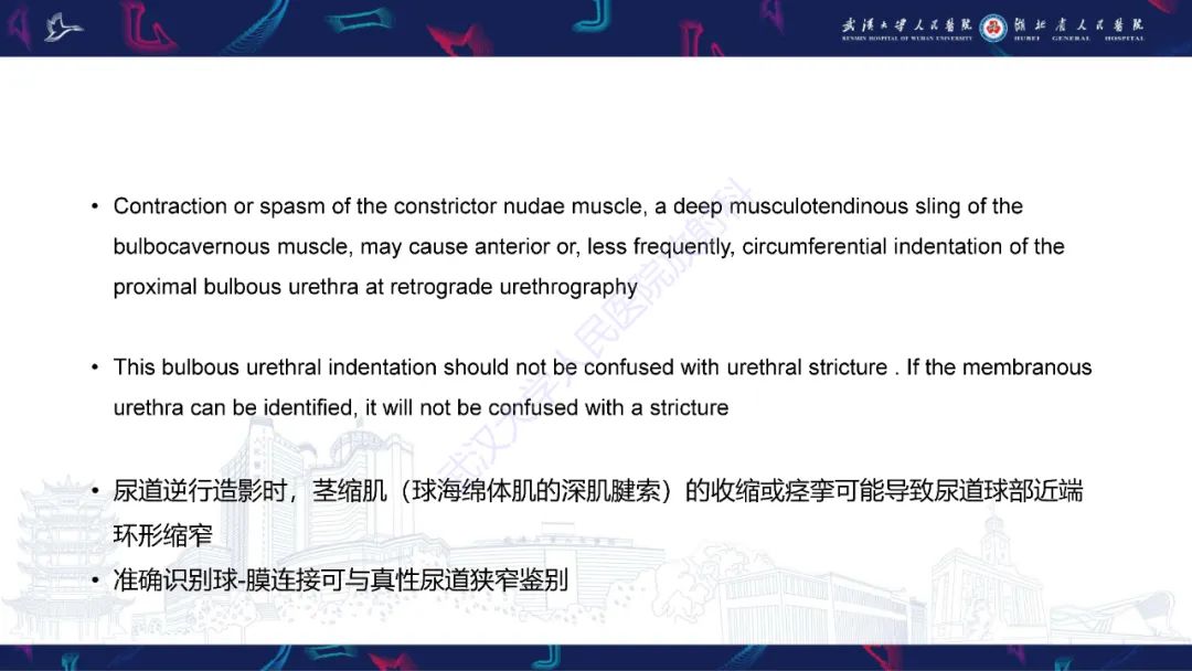 影像PPT - 【PPT】尿道造影疾病诊断-10