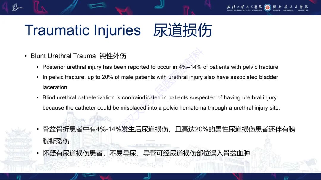 影像PPT - 【PPT】尿道造影疾病诊断-17
