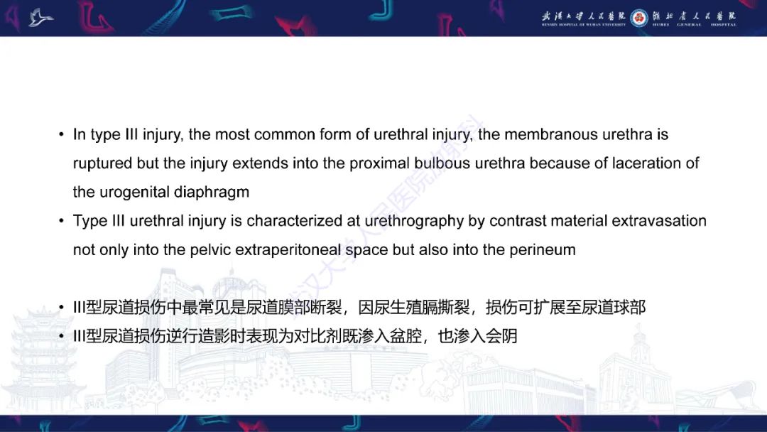 影像PPT - 【PPT】尿道造影疾病诊断-22