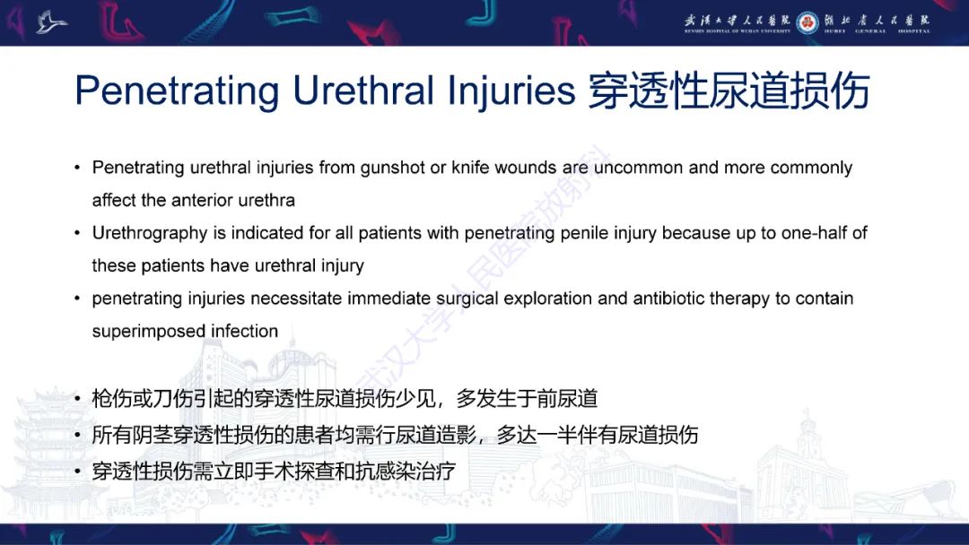 影像PPT - 【PPT】尿道造影疾病诊断-33