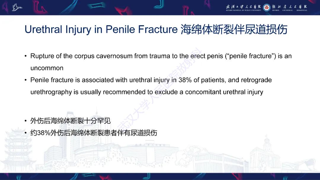影像PPT - 【PPT】尿道造影疾病诊断-36