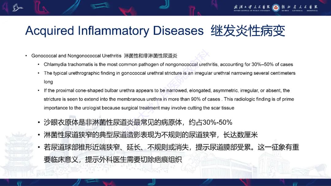 影像PPT - 【PPT】尿道造影疾病诊断-42