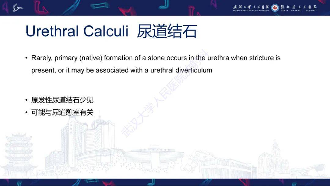 影像PPT - 【PPT】尿道造影疾病诊断-49