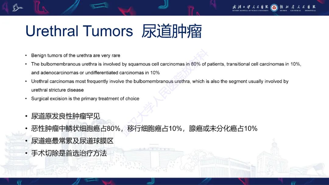 影像PPT - 【PPT】尿道造影疾病诊断-52