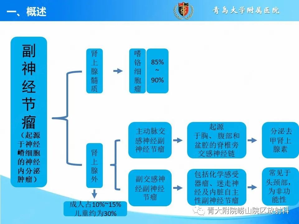 影像PPT - 【病例】腹膜后副神经节瘤1例CT影像-12