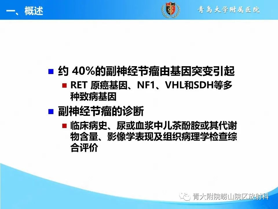 影像PPT - 【病例】腹膜后副神经节瘤1例CT影像-14