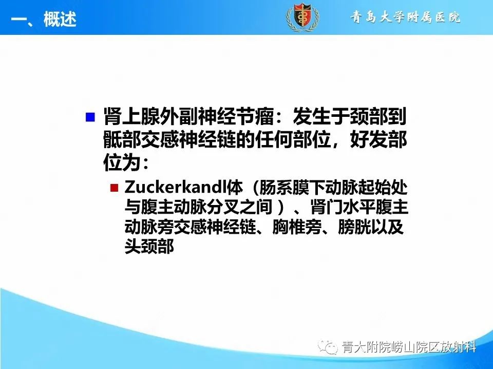 影像PPT - 【病例】腹膜后副神经节瘤1例CT影像-16