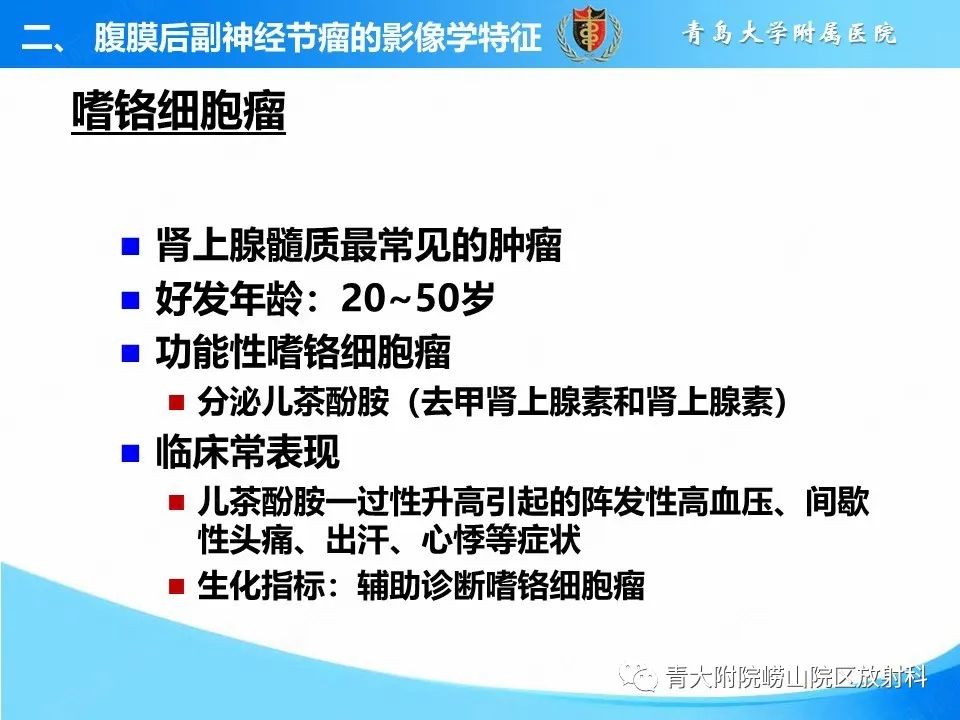 影像PPT - 【病例】腹膜后副神经节瘤1例CT影像-19