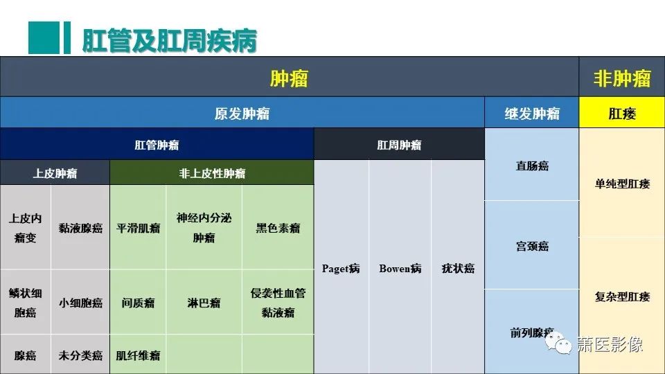 影像PPT - 【PPT】肛管及肛周区域病变MRI影像特征-6