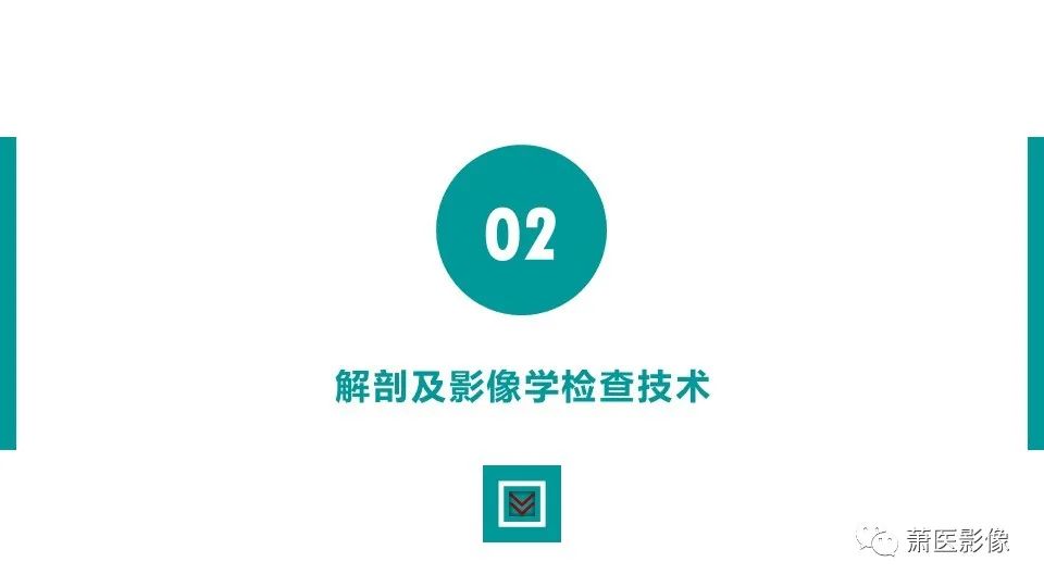 影像PPT - 【PPT】肛管及肛周区域病变MRI影像特征-8