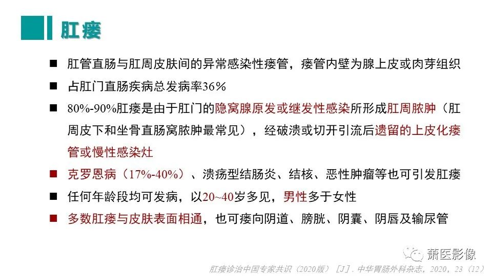影像PPT - 【PPT】肛管及肛周区域病变MRI影像特征-19