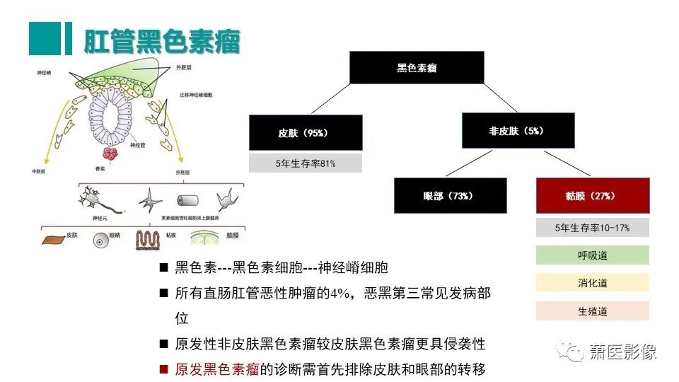 影像PPT - 【PPT】肛管及肛周区域病变MRI影像特征-41