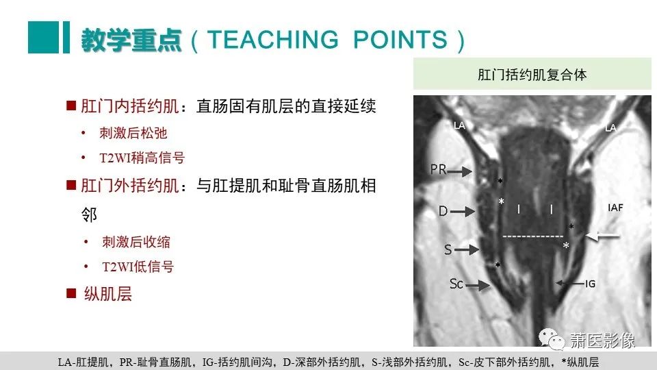 影像PPT - 【PPT】肛管及肛周区域病变MRI影像特征-51