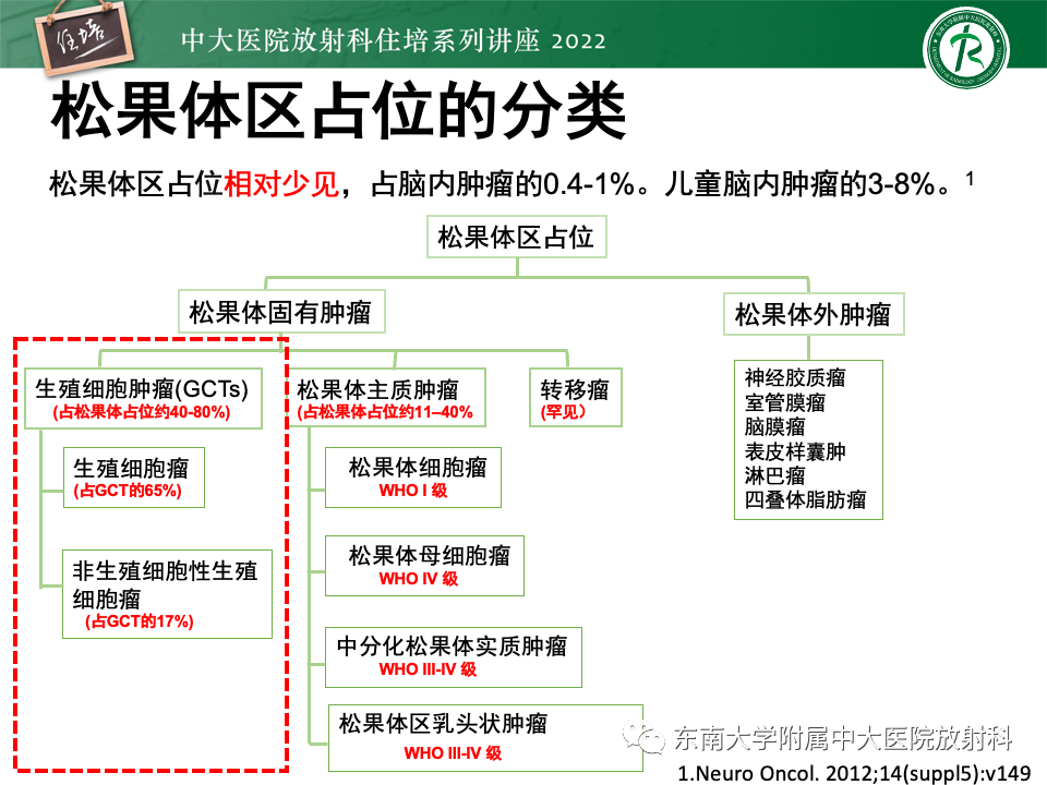 影像PPT - 【PPT】松果体区占位性病变的诊断思路-12