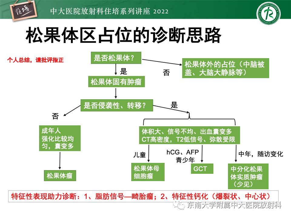 影像PPT - 【PPT】松果体区占位性病变的诊断思路-53