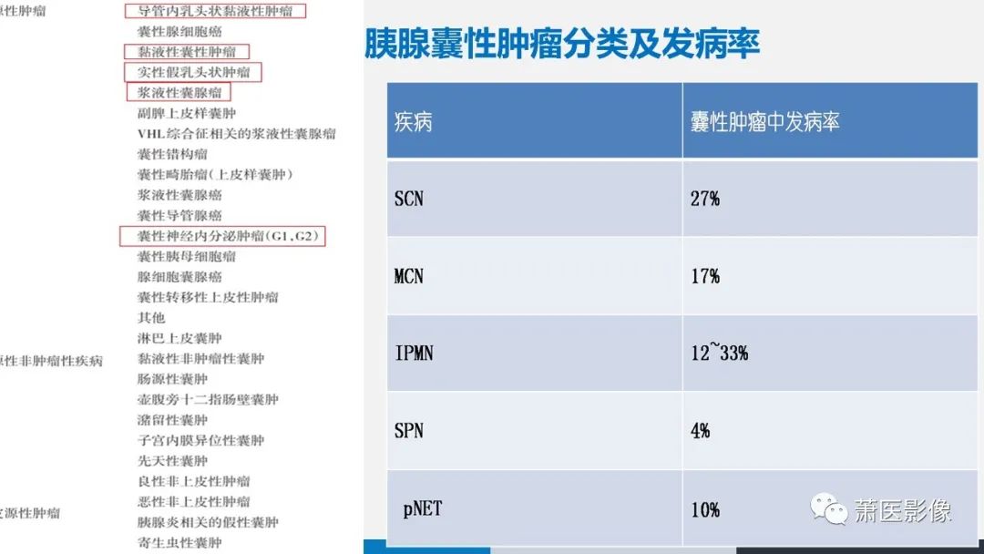 影像PPT - 【PPT】常见胰腺囊性肿瘤-2