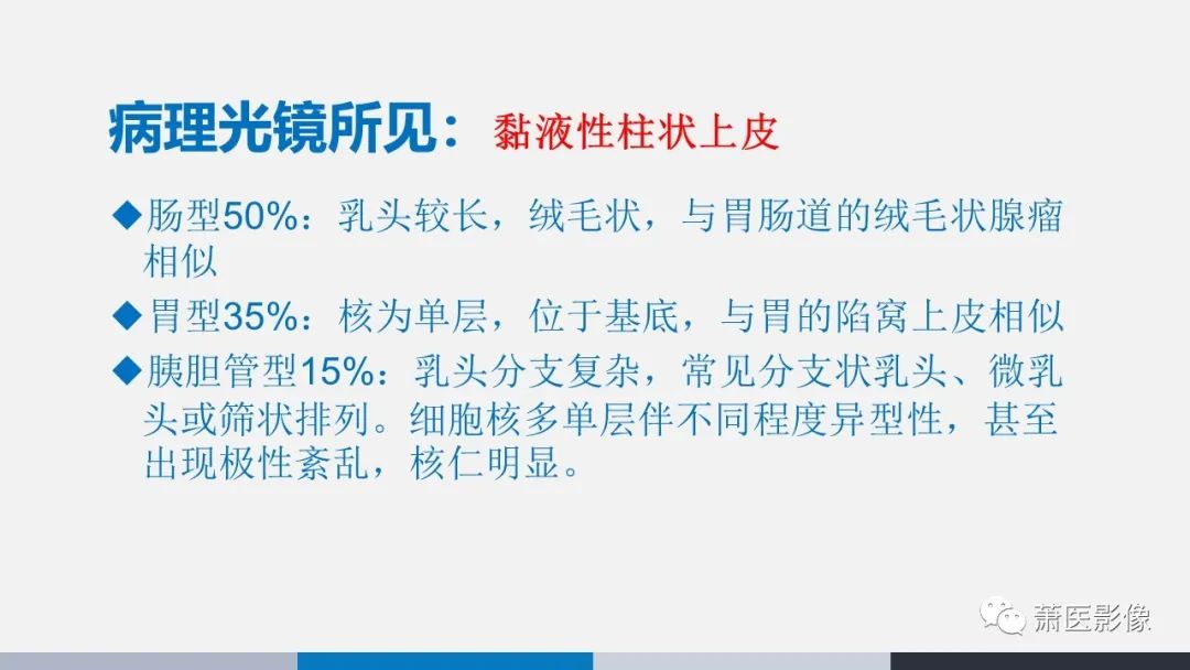 影像PPT - 【PPT】常见胰腺囊性肿瘤-15