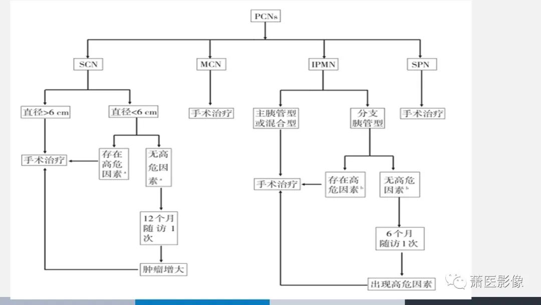 影像PPT - 【PPT】常见胰腺囊性肿瘤-60