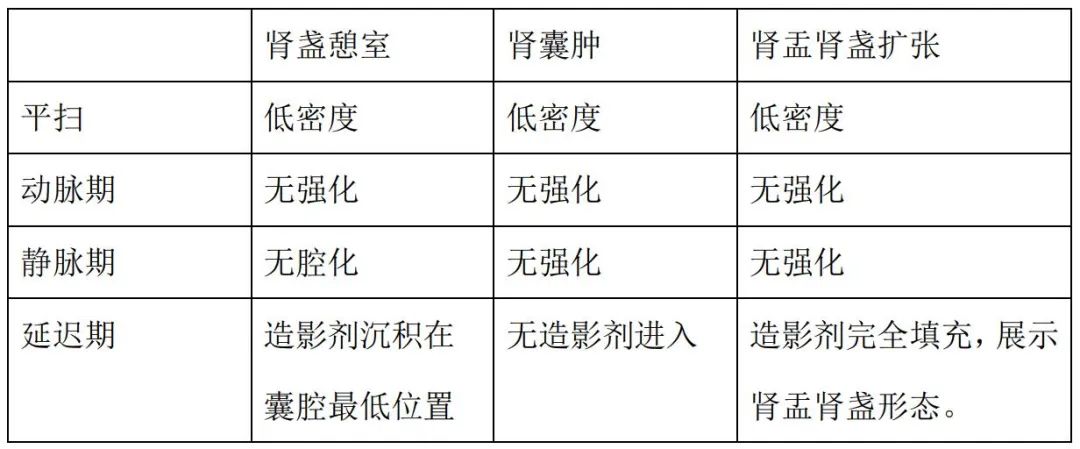 影像PPT - 【病例】容易误诊为肾囊肿的肾盏憩室1例CT影像-16 影像PPT - 【病例】容易误诊为肾囊肿的肾盏憩室1例CT影像-16
