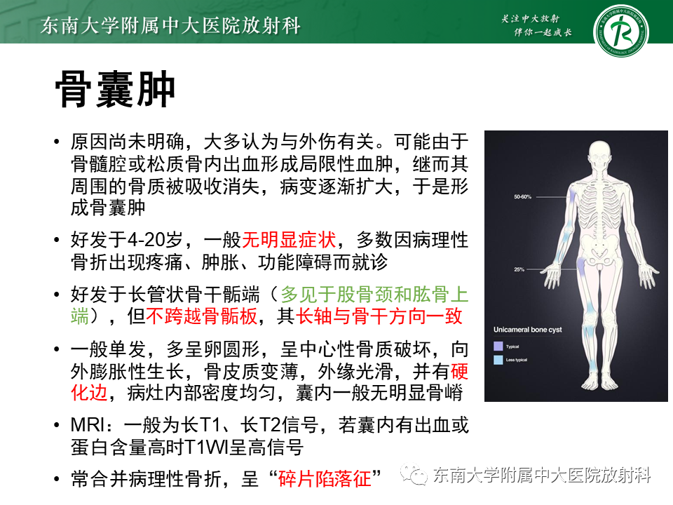 影像PPT - 【PPT】骨纤维异常增殖症-25