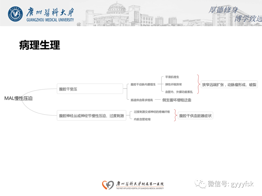 影像PPT - 【病例】正中弓状韧带压迫综合征1例CT影像-10