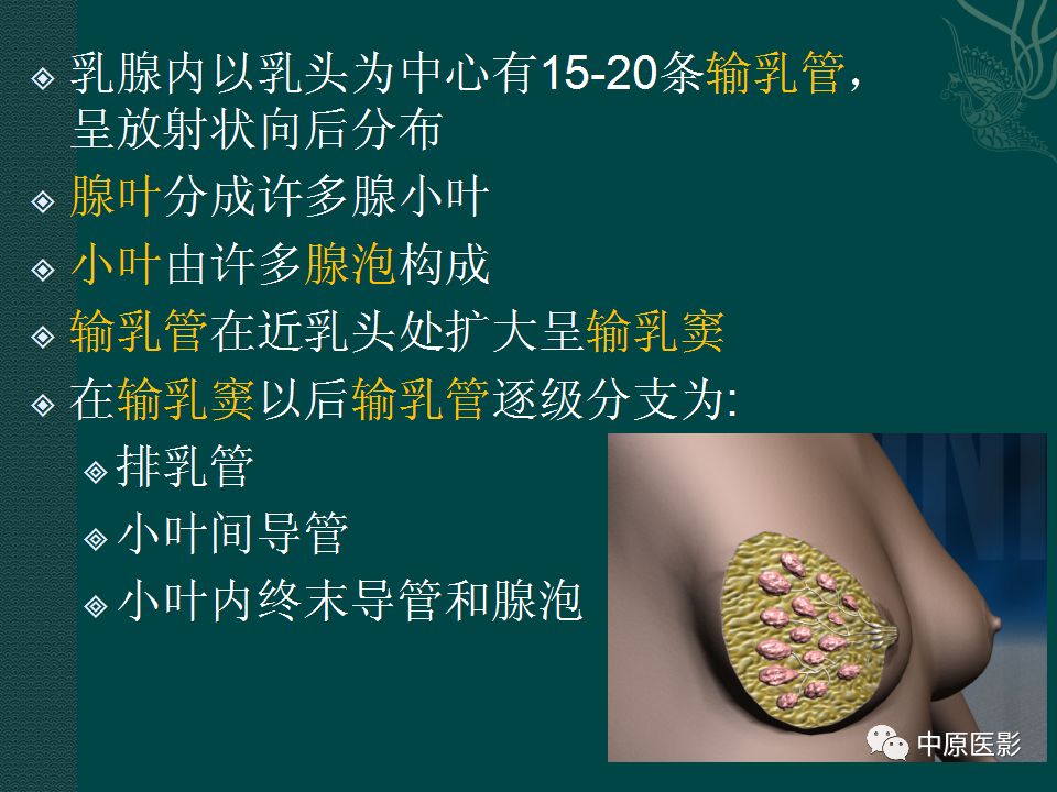 影像PPT - 【PPT】乳腺导管内乳头状瘤MRI表现-4