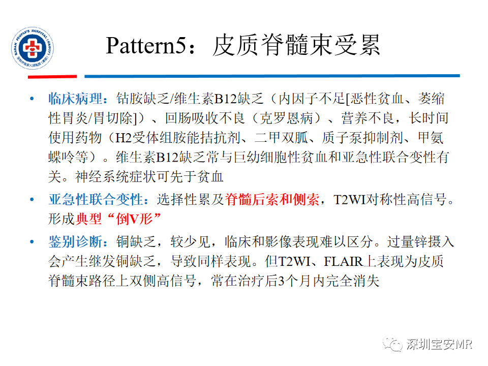 影像PPT - 【PPT】中毒性和代谢性脑病的影像模式-33
