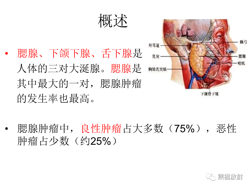 影像PPT - 【病例】腮腺腺淋巴瘤 & 粘液表皮样癌-12