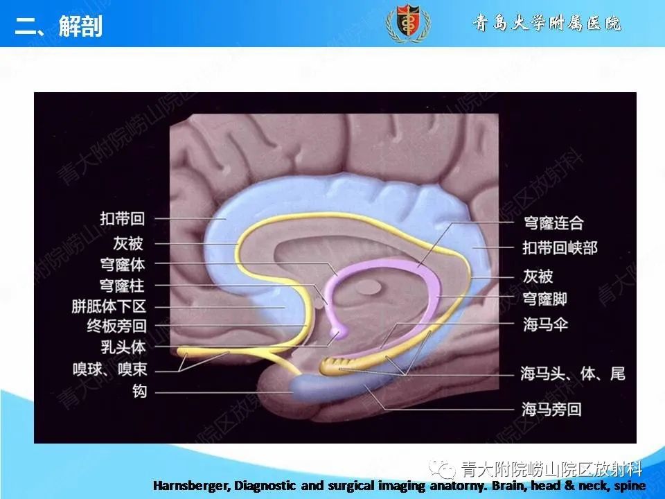 影像PPT - 【PPT】自身免疫性脑炎的影像诊断与鉴别-8
