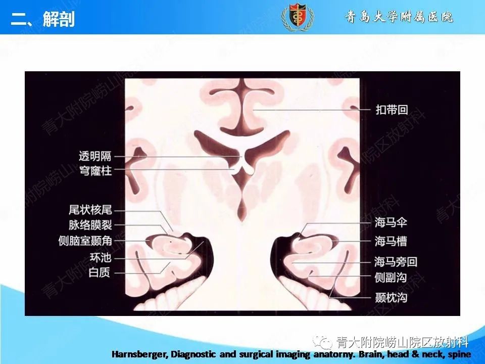 影像PPT - 【PPT】自身免疫性脑炎的影像诊断与鉴别-9
