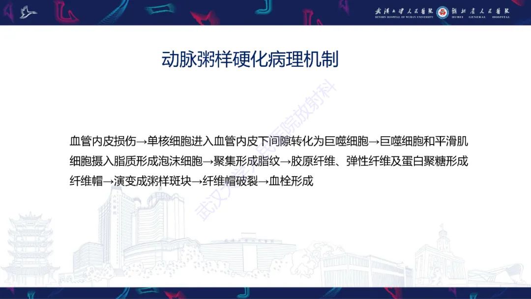 影像PPT - 【PPT】颈动脉斑块HR-MR影像判读-3