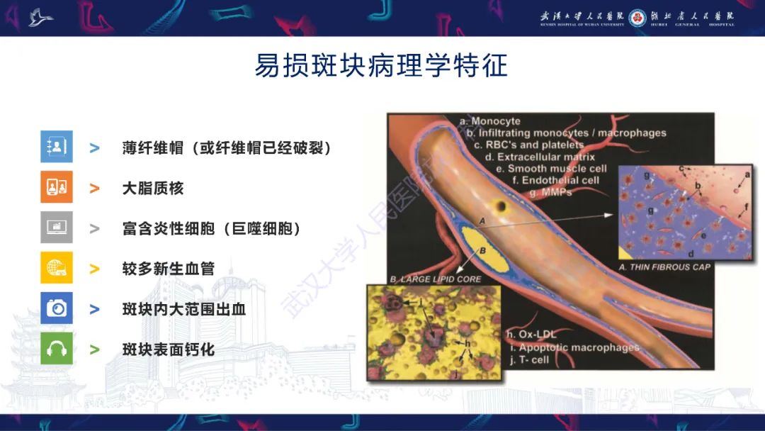 影像PPT - 【PPT】颈动脉斑块HR-MR影像判读-5