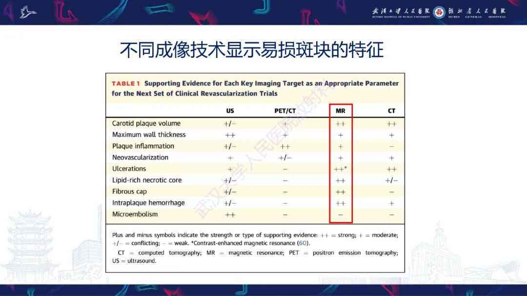 影像PPT - 【PPT】颈动脉斑块HR-MR影像判读-6