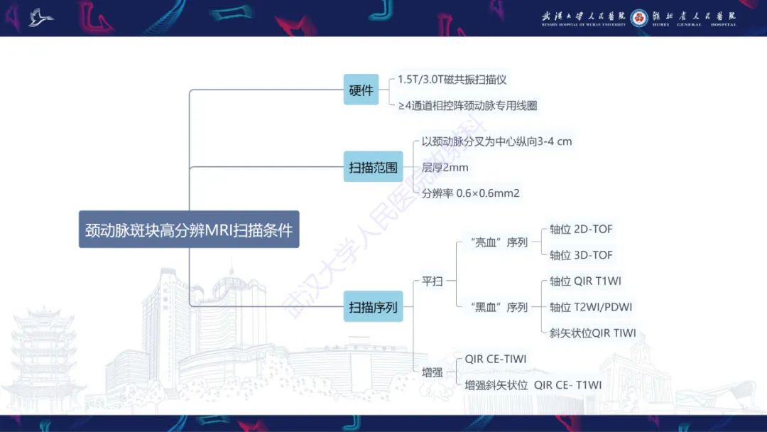 影像PPT - 【PPT】颈动脉斑块HR-MR影像判读-8