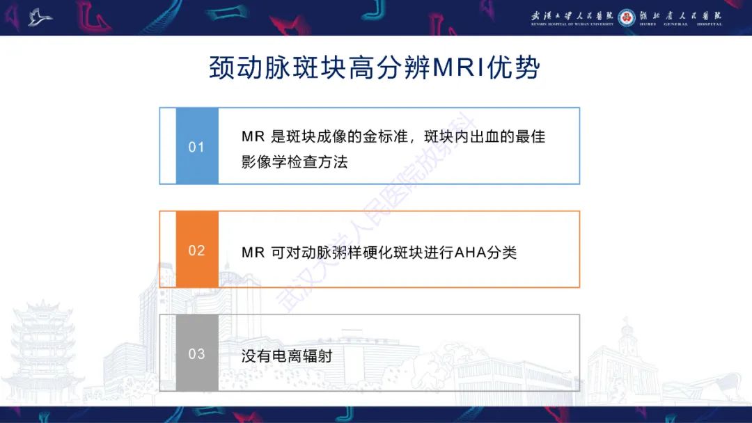 影像PPT - 【PPT】颈动脉斑块HR-MR影像判读-7