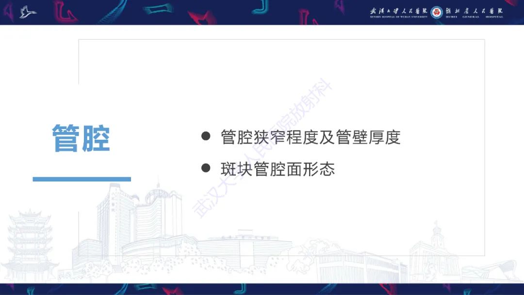 影像PPT - 【PPT】颈动脉斑块HR-MR影像判读-9