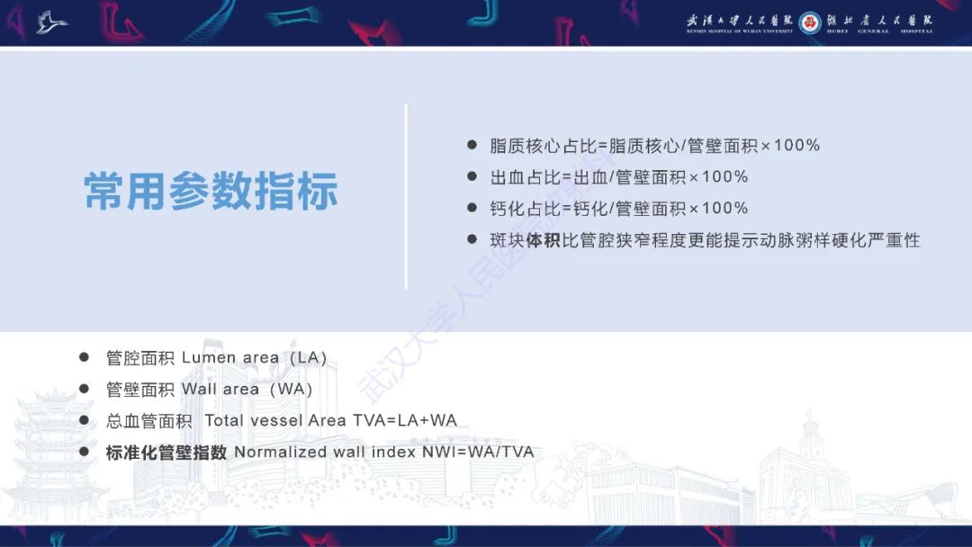影像PPT - 【PPT】颈动脉斑块HR-MR影像判读-10