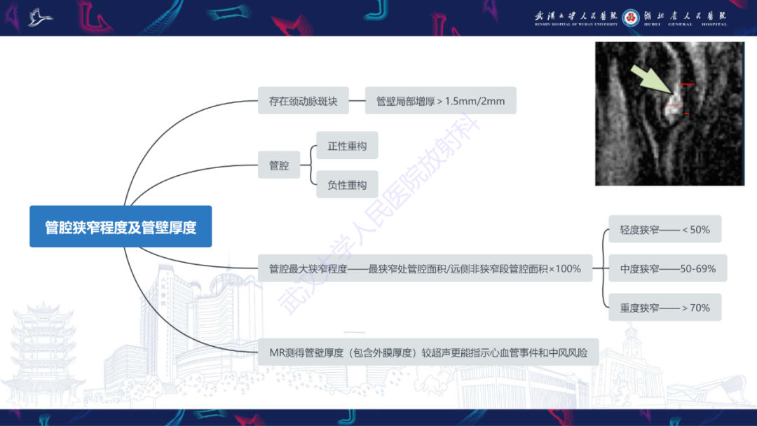 影像PPT - 【PPT】颈动脉斑块HR-MR影像判读-12