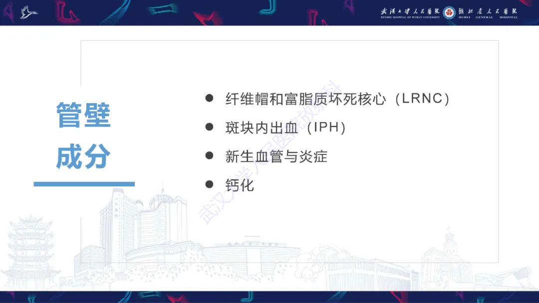 影像PPT - 【PPT】颈动脉斑块HR-MR影像判读-13