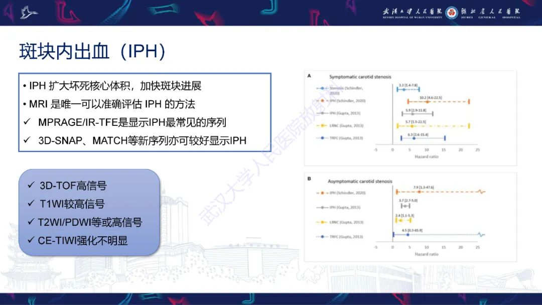 影像PPT - 【PPT】颈动脉斑块HR-MR影像判读-18