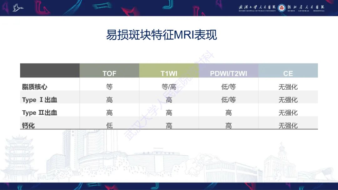 影像PPT - 【PPT】颈动脉斑块HR-MR影像判读-24