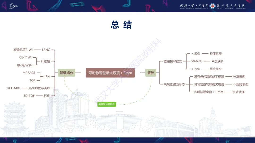 影像PPT - 【PPT】颈动脉斑块HR-MR影像判读-33