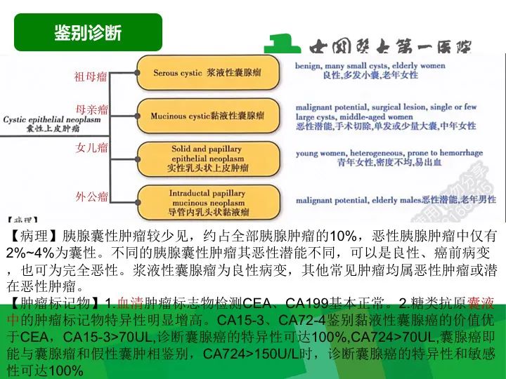 影像PPT - 【病例】胰腺实性假乳头状瘤1例CT及MR影像-19