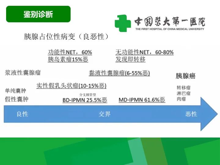 影像PPT - 【病例】胰腺实性假乳头状瘤1例CT及MR影像-20