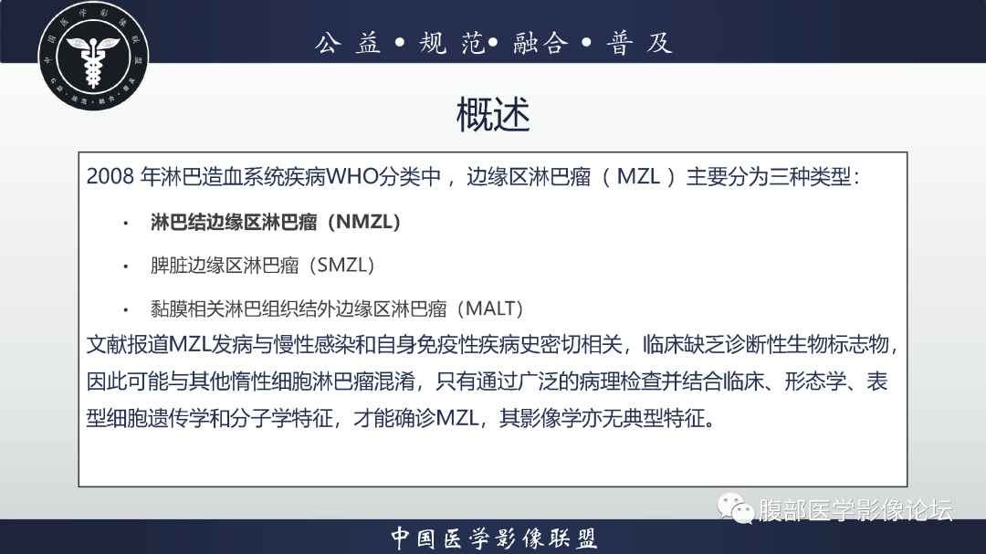 影像PPT - 【病例】腹膜后边缘区淋巴瘤1例CT影像-11