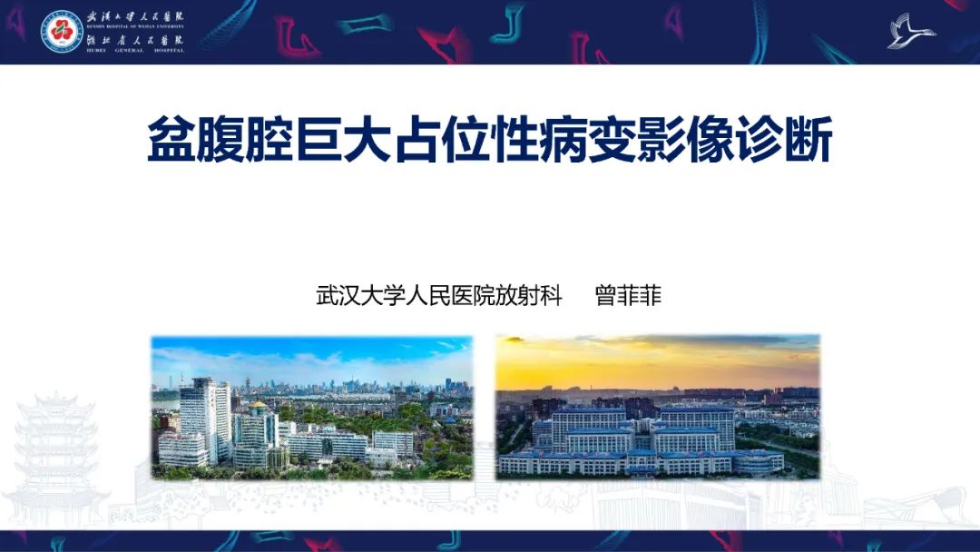 影像PPT - 【PPT】盆腹腔巨大占位性病变影像诊断-1