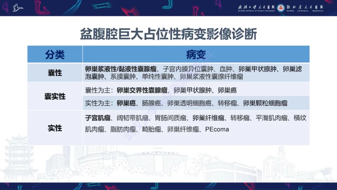 影像PPT - 【PPT】盆腹腔巨大占位性病变影像诊断-6