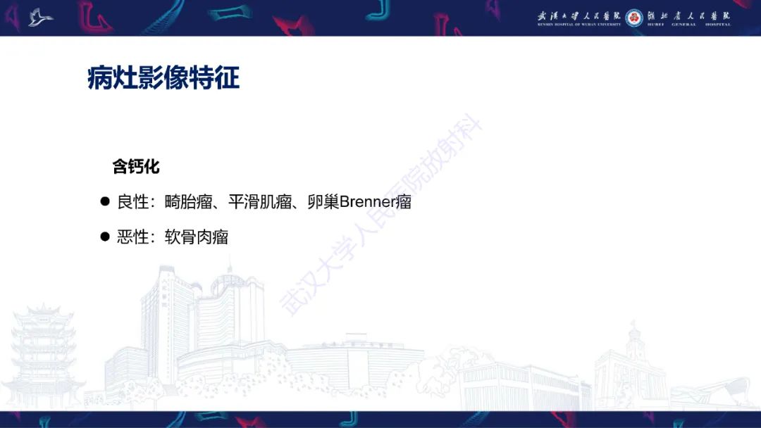 影像PPT - 【PPT】盆腹腔巨大占位性病变影像诊断-46