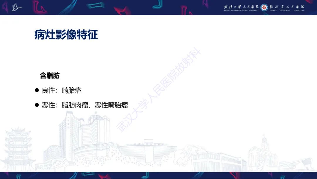 影像PPT - 【PPT】盆腹腔巨大占位性病变影像诊断-50